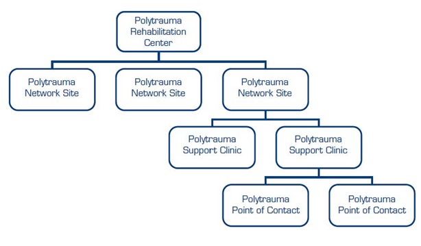 Org Chart of the Polytrauma System of Care